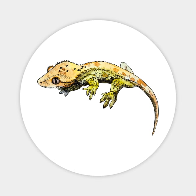 gecko Magnet by VicaVeresk